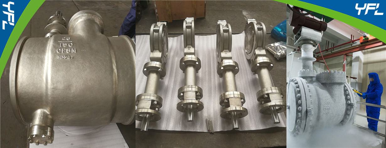 cryogenic butterfly valves for LNG