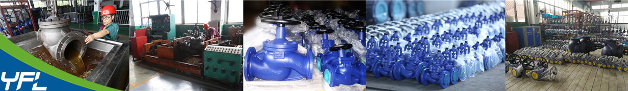 Bellows seal globe valves for steam system