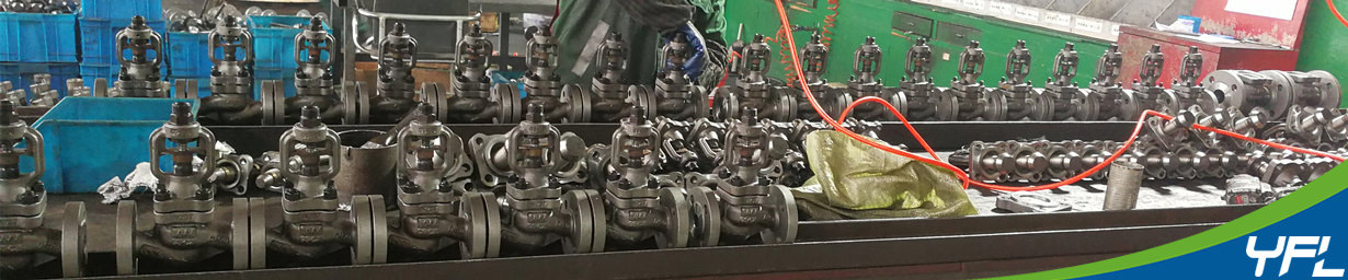 Bellows seal globe valves for thermal oil system