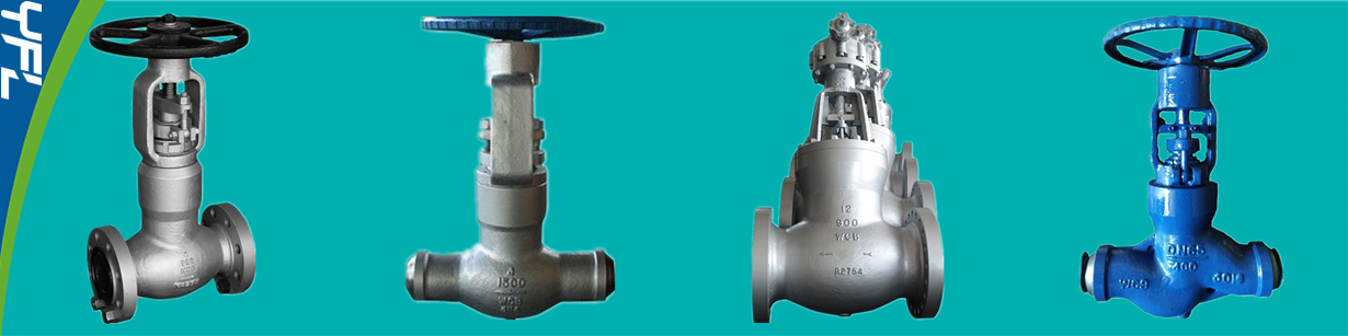 WC6, WC9 High temperature high pressure globe valves for power plants