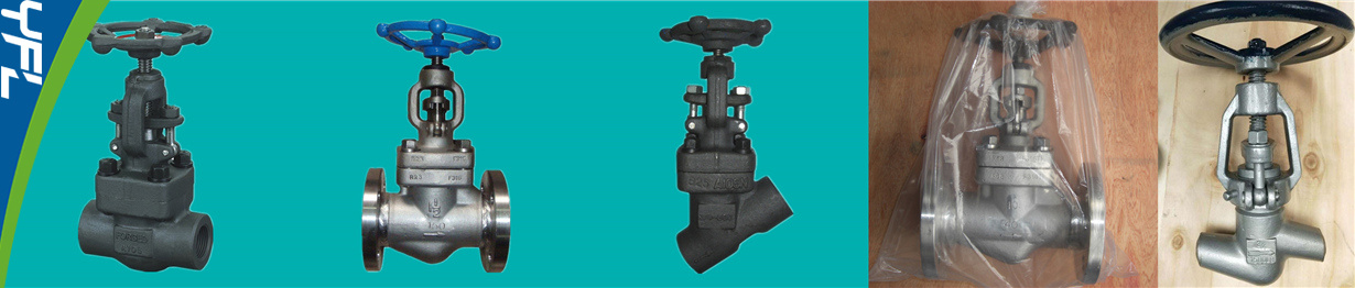 Threaded ends, Flanged ends, BW ends, F91, F316Ti, F316L, F304, A105, F11, F22 Globe valves, Forged Y type globe valves