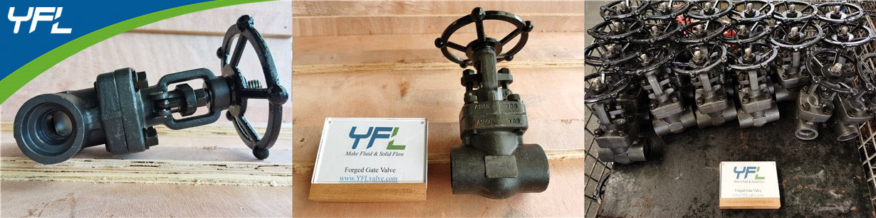 API 602 Forged steel gate valves