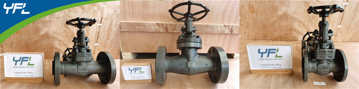 API 602, BS5353 Forged steel globe valves for power plants
