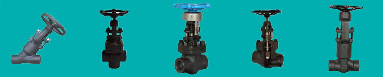 BS5352 regulating type forged globe valves, Y type globe valve, pressure seal globe valves